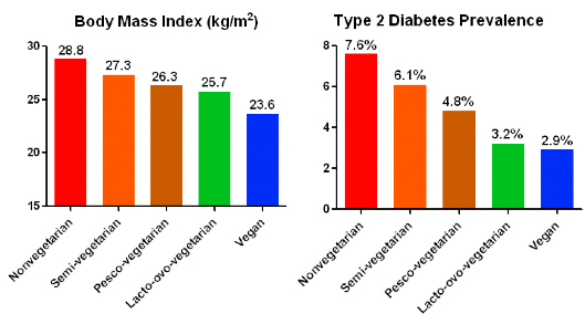 vegane ernährung übergewicht diabetes