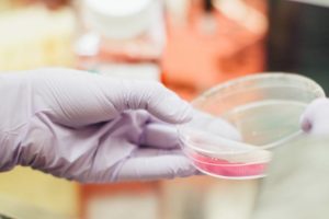 laborfleisch - ernaehrung der zukunft